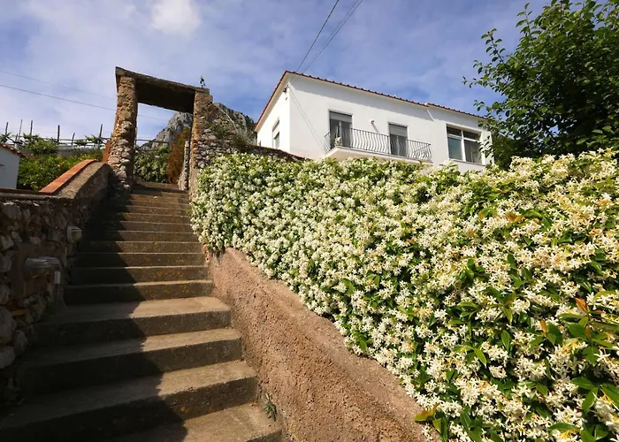 Apartament Casa Floriana Seaview